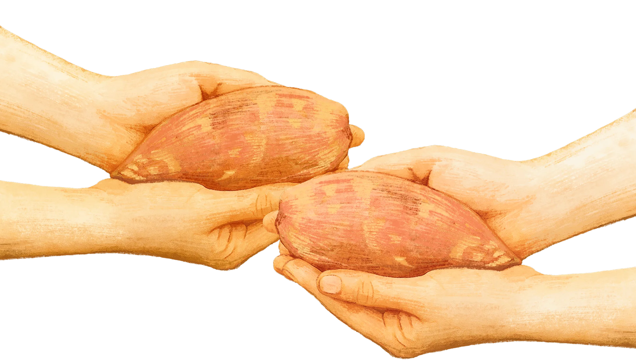 Tấm lòng Khoai Lang Nướng