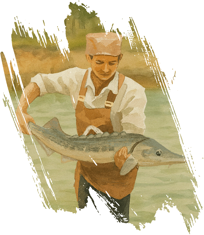 Tấm lòng khoai