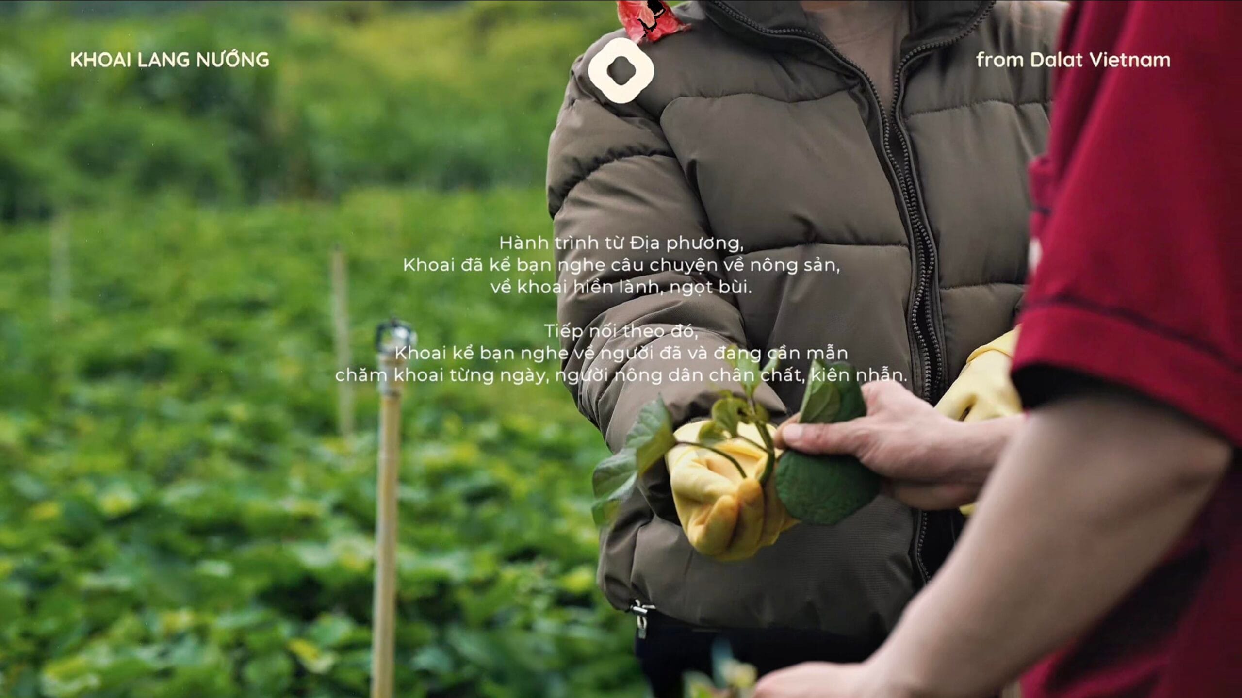 Video Khoai Lang Nướng