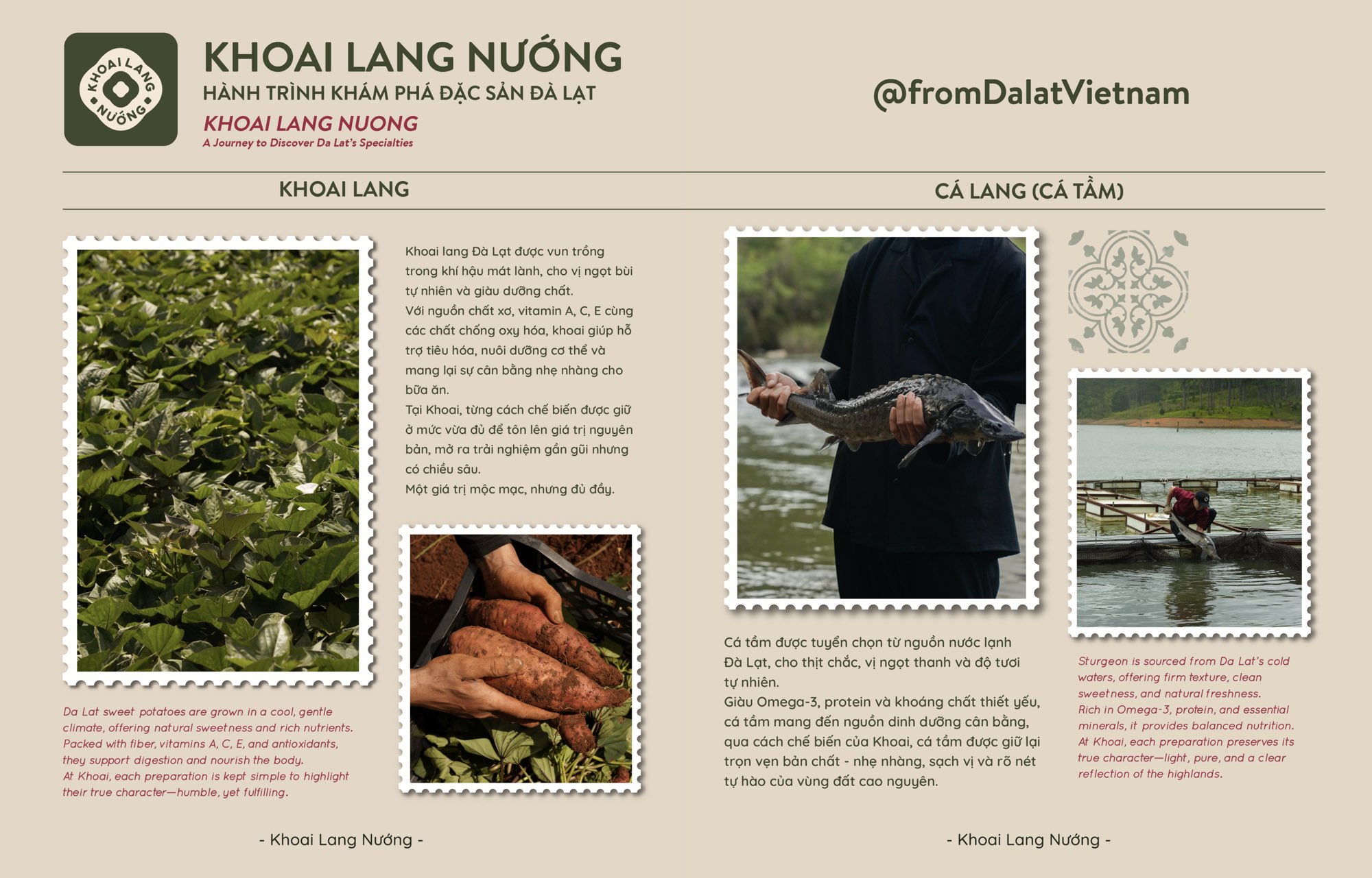 Khoai Lang Nướng